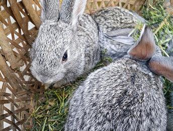 《盐与献祭》首批媒体评分公布 综合评分72分